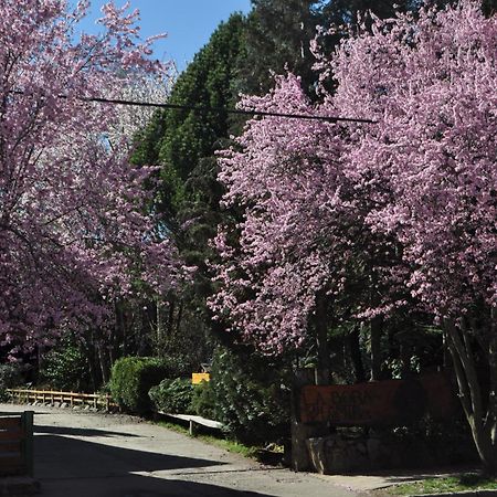 Apart Hotel La Bora San Martín de los Andes Εξωτερικό φωτογραφία