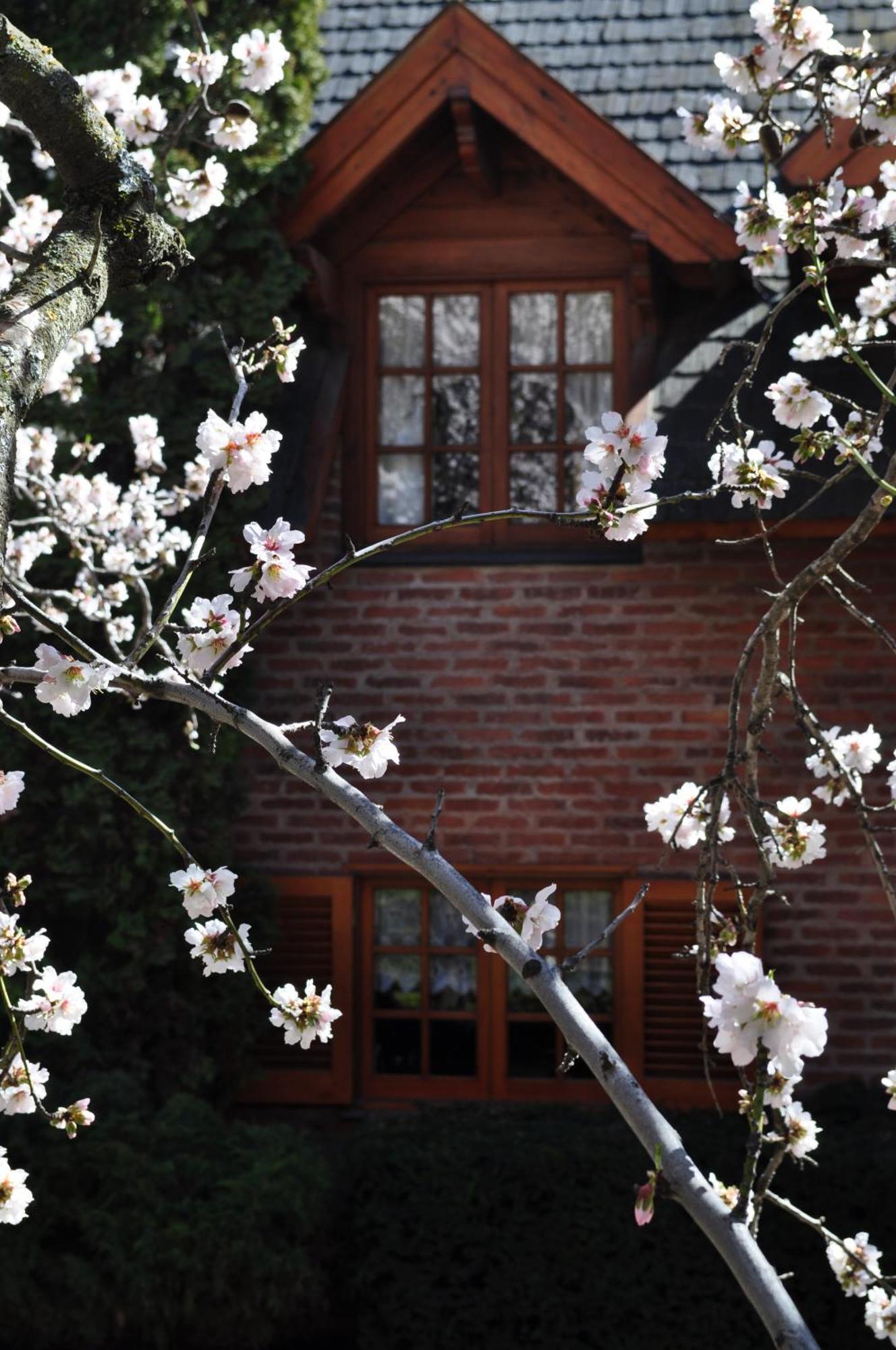 Apart Hotel La Bora San Martín de los Andes Εξωτερικό φωτογραφία
